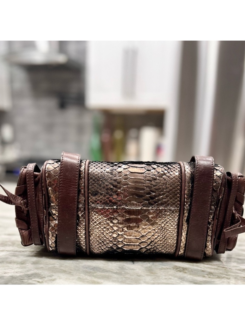Chloe Authentic Bronze Metallic Python and Leather Silverado Bag Rare - Picture 6 of 15